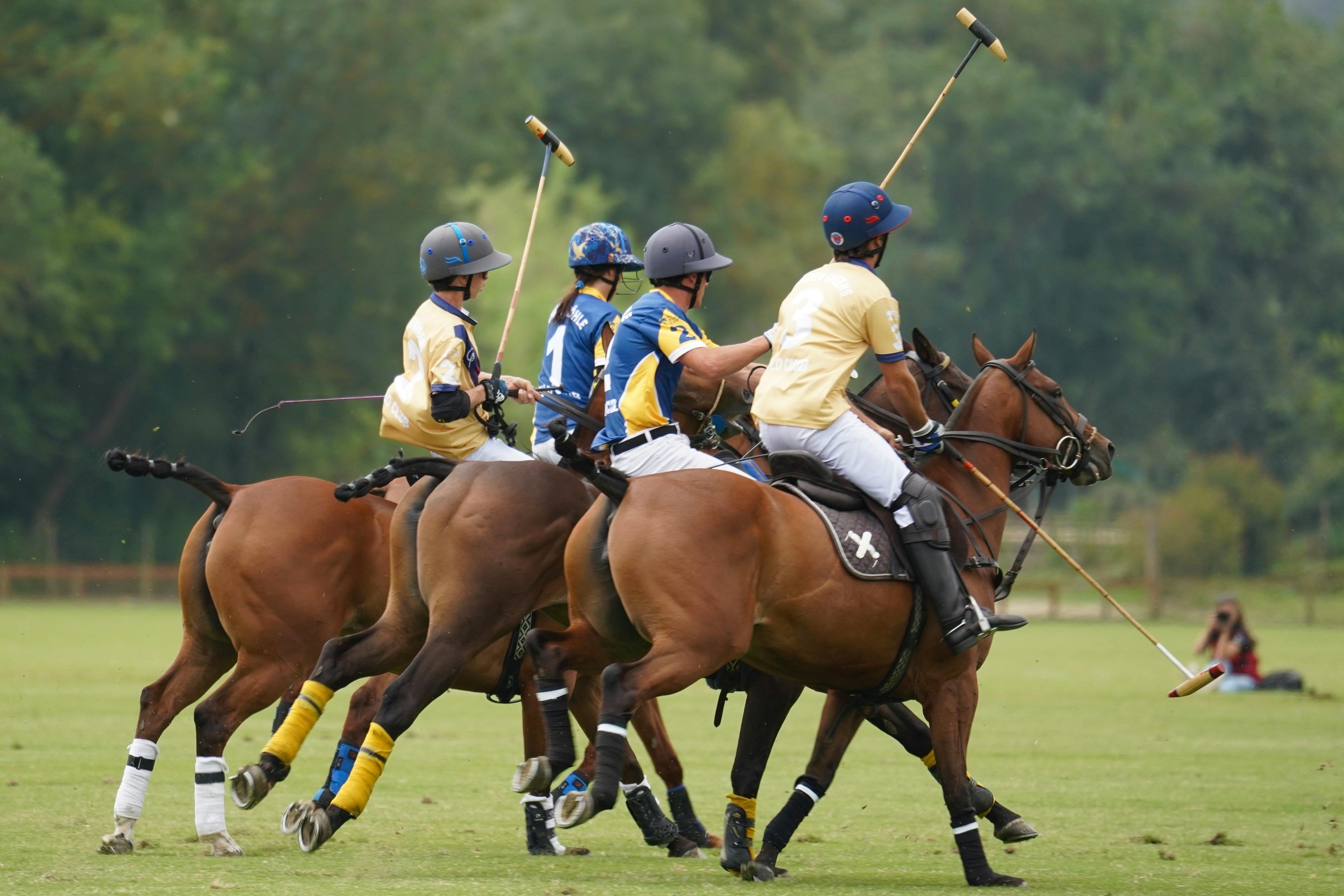 Polo players on horses during a match with green field and trees in the background